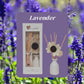 Indoor flameless fragrance
