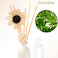 Indoor flameless fragrance
