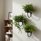 Wall-Mounted Modern Plant Pot Holders