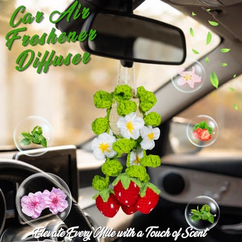 Crochet Strawberry Hanging Plant for Car Air Freshener