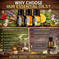 12 Pack Premium Fragrance Essential Oils Gift Set for Diffuser