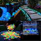 Colorful Glow-in-the-Dark Garden Stones