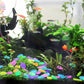Colorful Glow-in-the-Dark Garden Stones