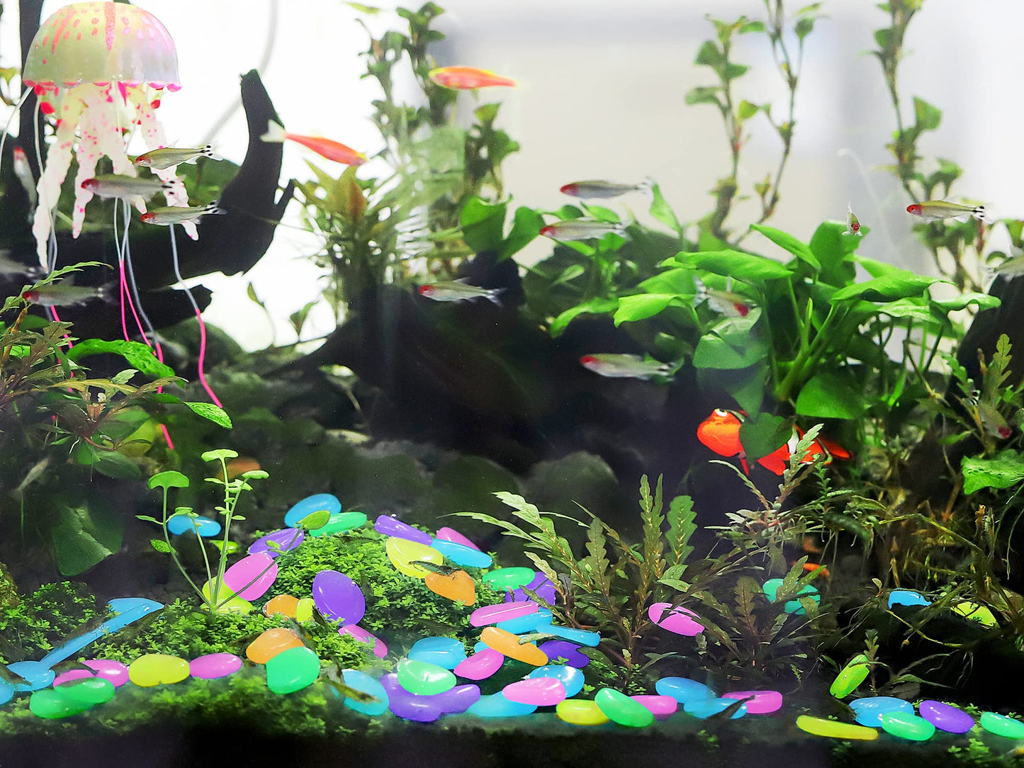 Colorful Glow-in-the-Dark Garden Stones