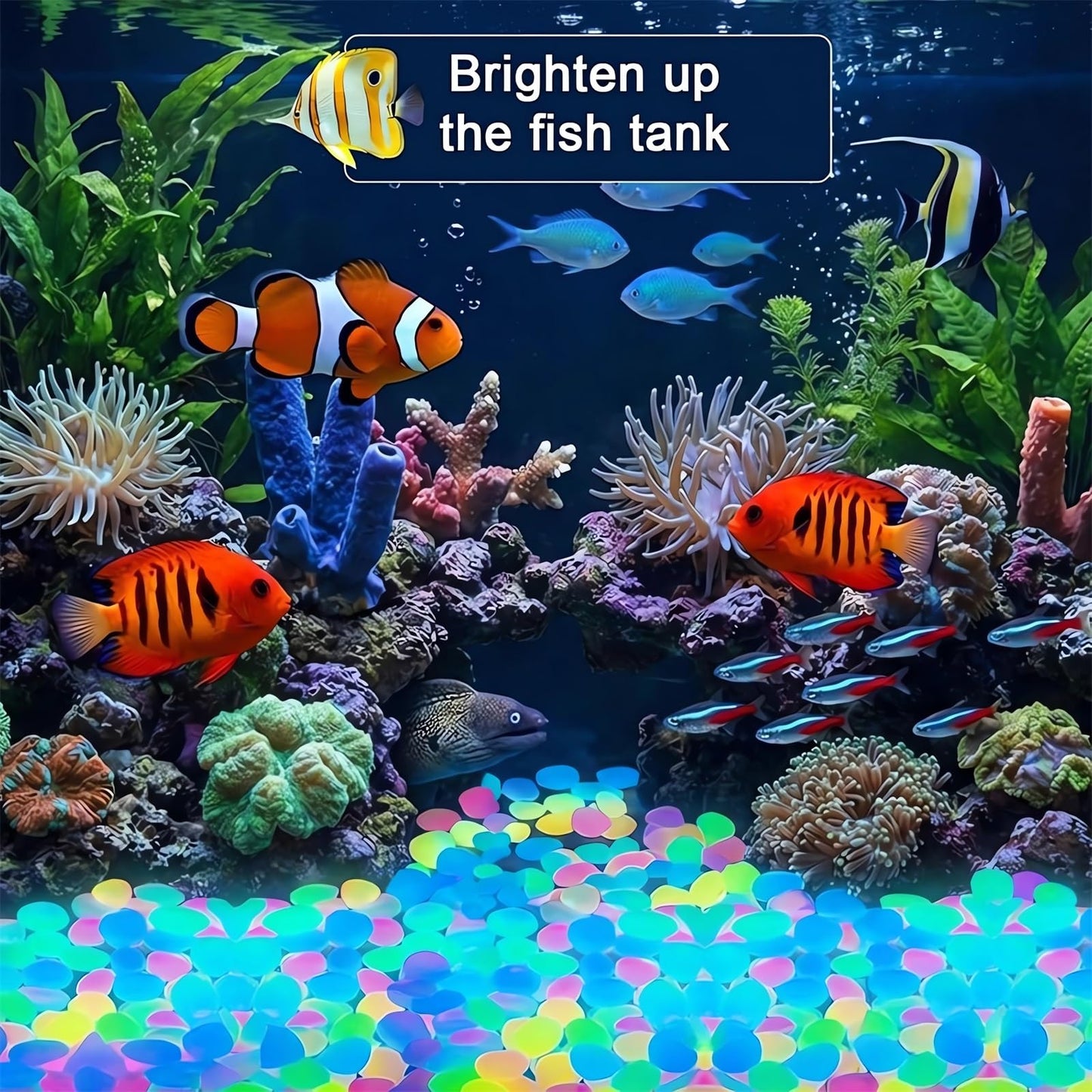 Colorful Glow-in-the-Dark Garden Stones