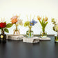 Flameless dried flower fragrance Reed Diffuser
