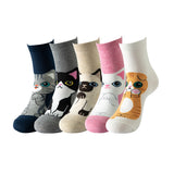 Big Cat Animal Face Socks 5 Pairs
