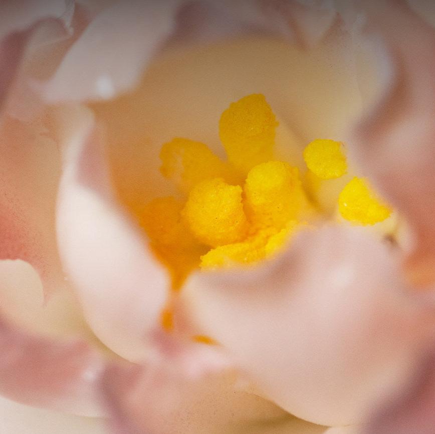 Handmade Floral Incense Holder