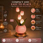 Tulip Table Lamp Night Light