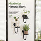 Wall-Mounted Modern Plant Pot Holders