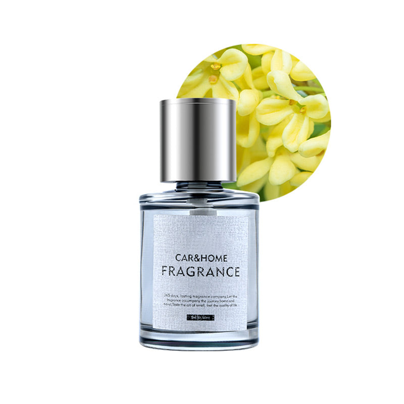 Intelligent Ultrasonic Spray Car Air Freshener